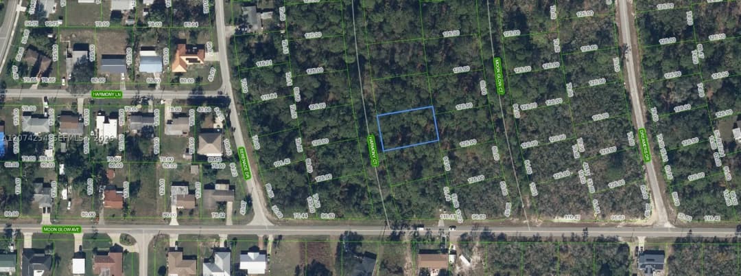 209 Harmony Court, Lake Placid, Florida 33852