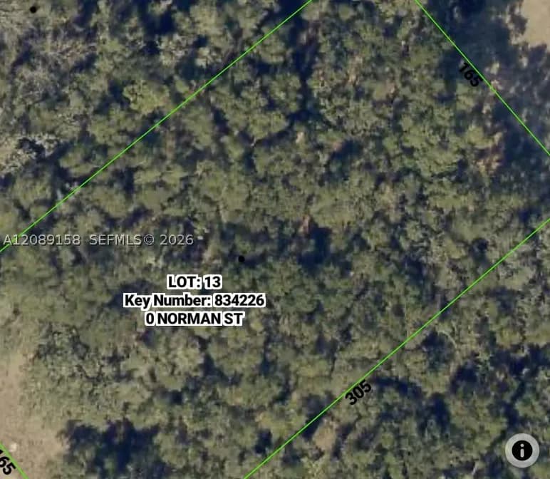 0 Norman St, Other, Florida 33593